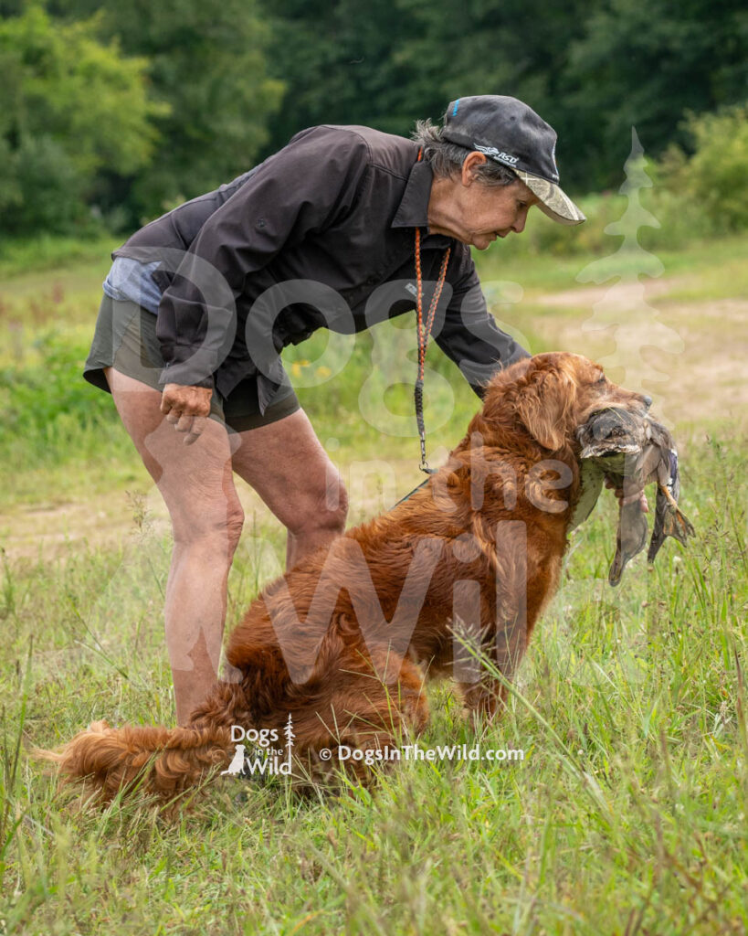 Old Lyme's Dashing Girl Niantic, Pepper, Carmen Kuegler