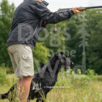 M46-SBGRC-26-1