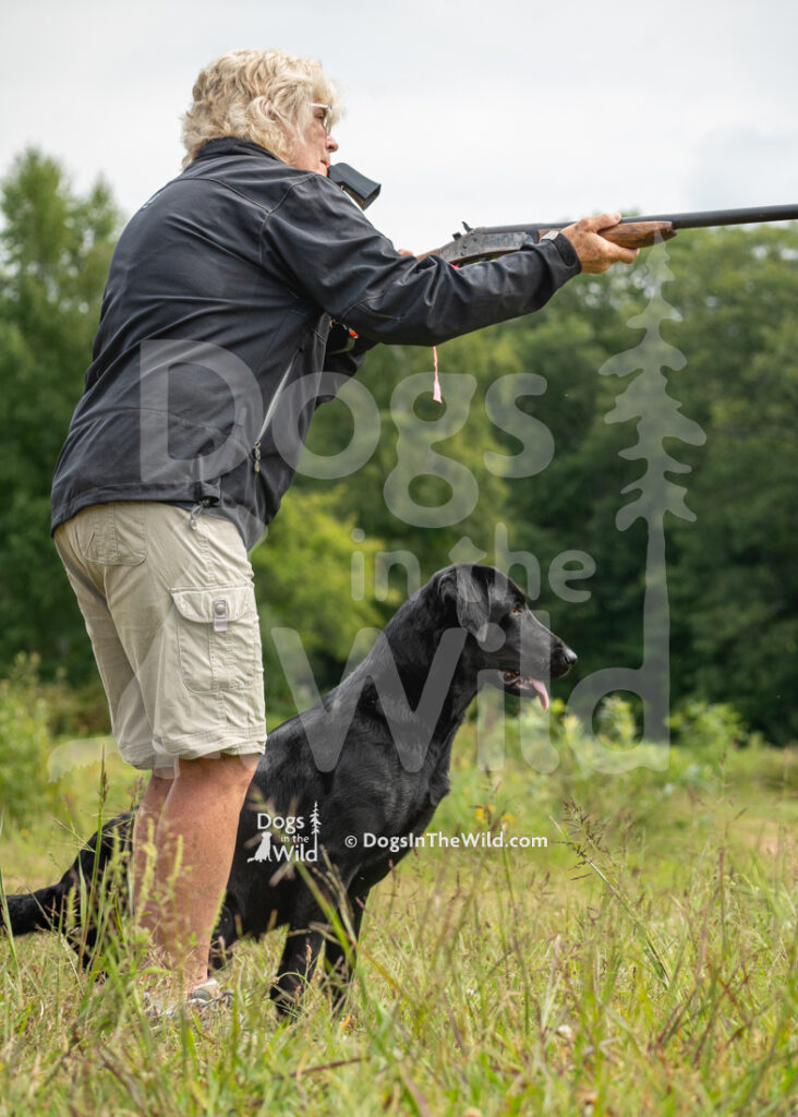 M46-SBGRC-26-1