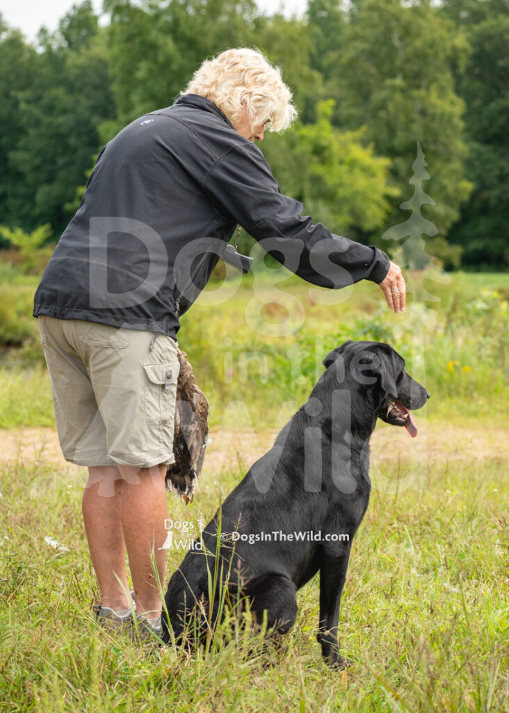 Graycroft Steep Grade To The Top, Suzie, Joey Mead Edsall, Black Lab