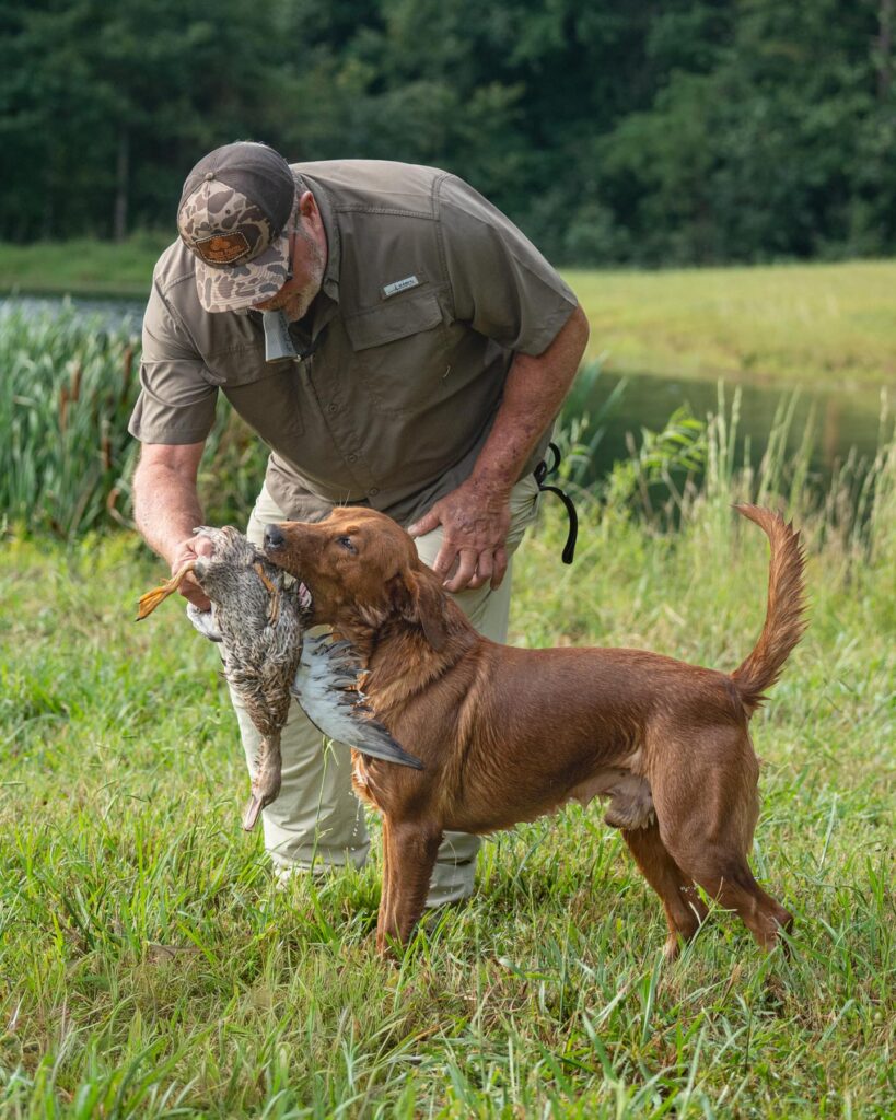 hunt test photography by mike hosier, North Carolina