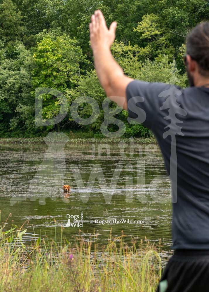 Sunrunner's Dbp's Lucky Copper Penny, Mammut, Brandon Kingston, Hunt Test Photography