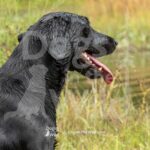 S20-SBGRC-26-3