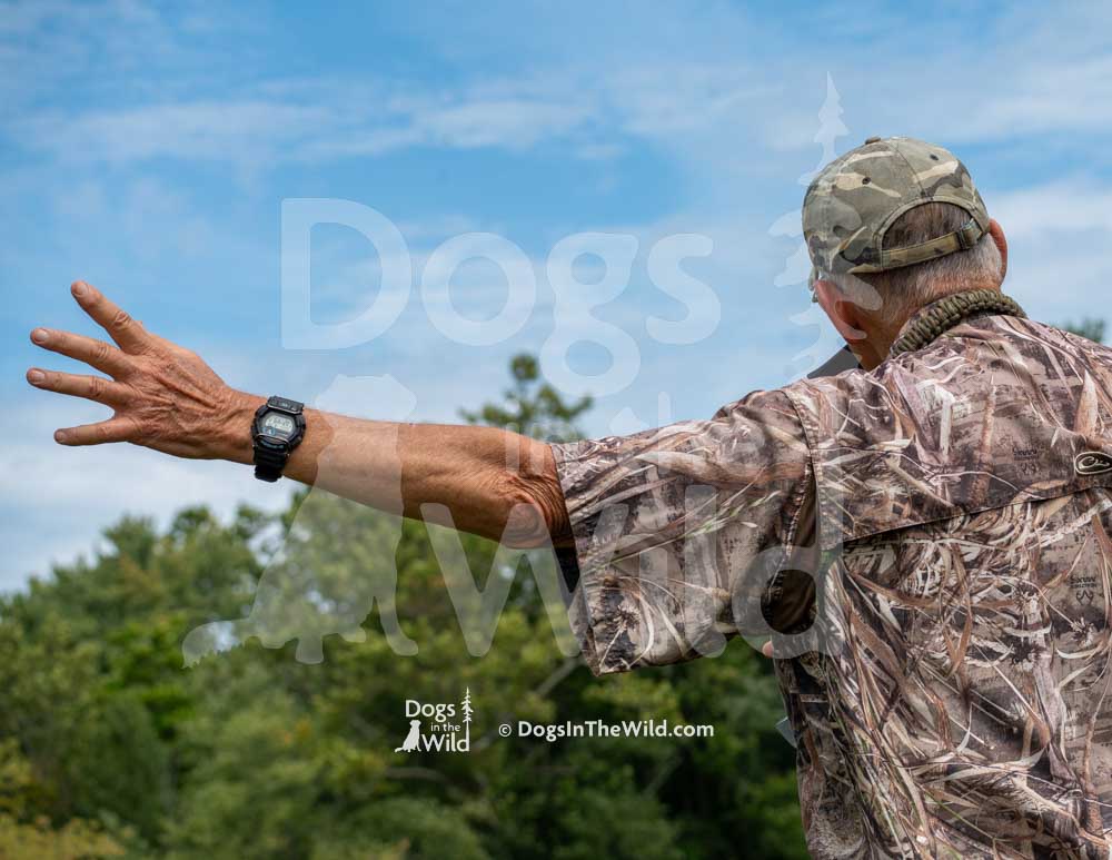 Landara's Taylor Is Bust N Cover, Thomas Hoagland, Hunt Test Photography