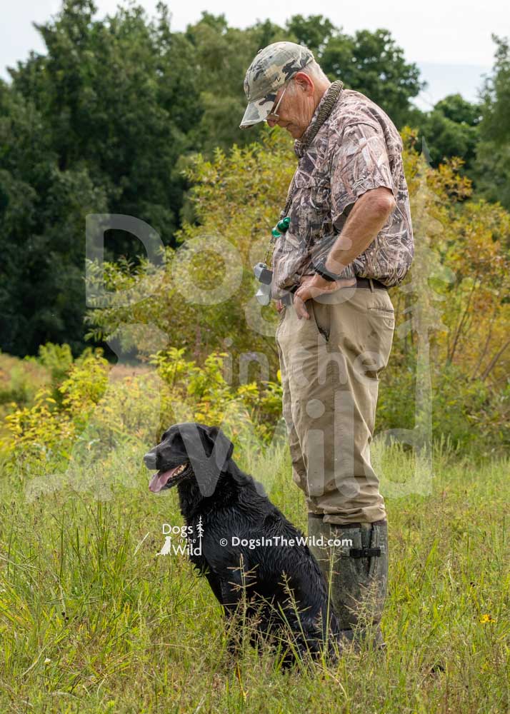 Landara's Taylor Is Bust N Cover, Thomas Hoagland, Hunt Test Photography