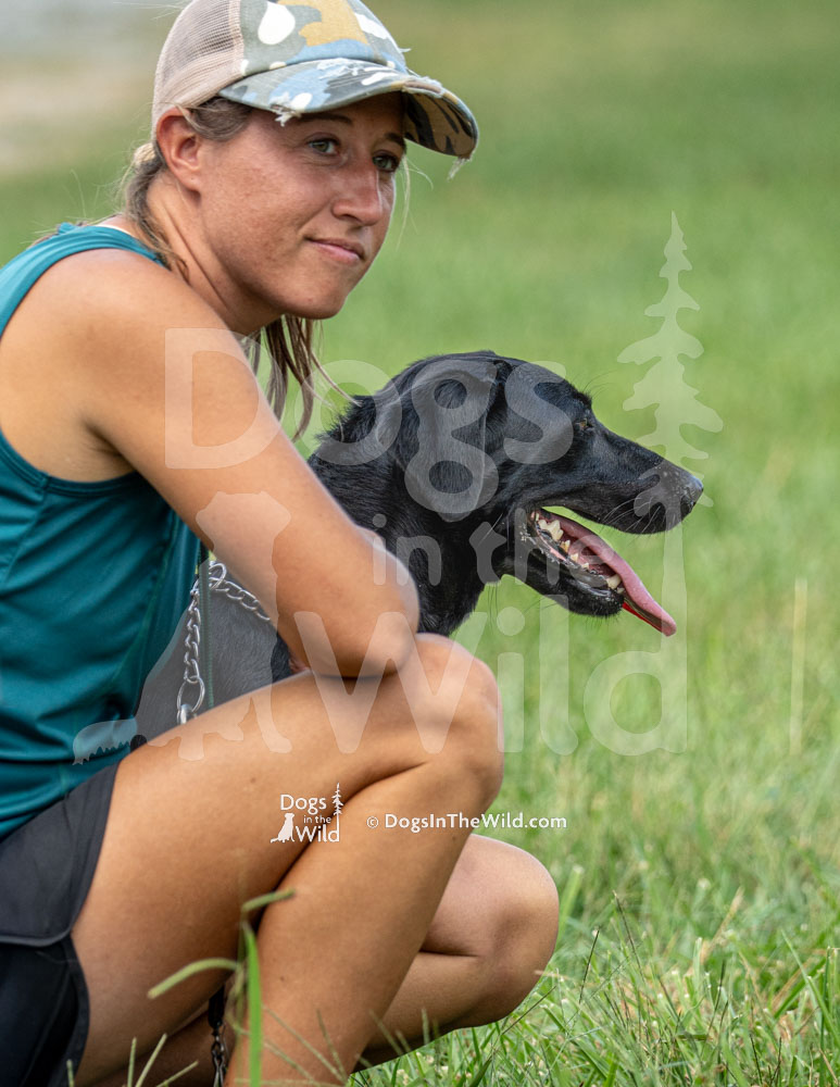 Yadkin River Retriever Club Hunt Test, Test Dog