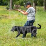 YRC-919-S3-1