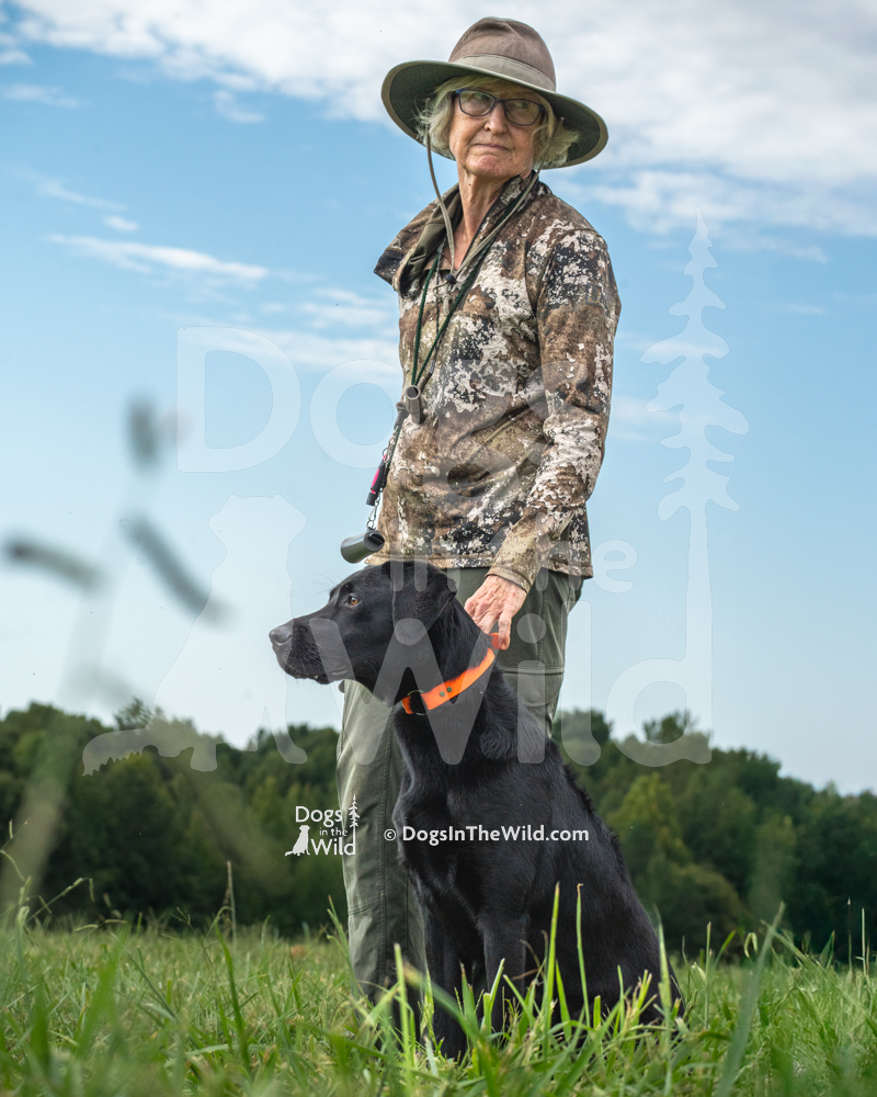 Sundog's Front Runner, Flint, Black Lab, Hunt Test Photography