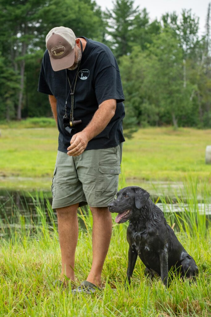 hunt test photography by mike hosier, Lake Effect Gun Dogs