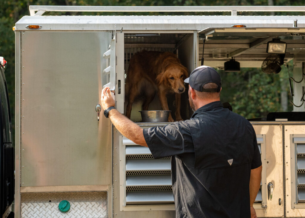 retriever trainer, gun dog, photography by mike hosier