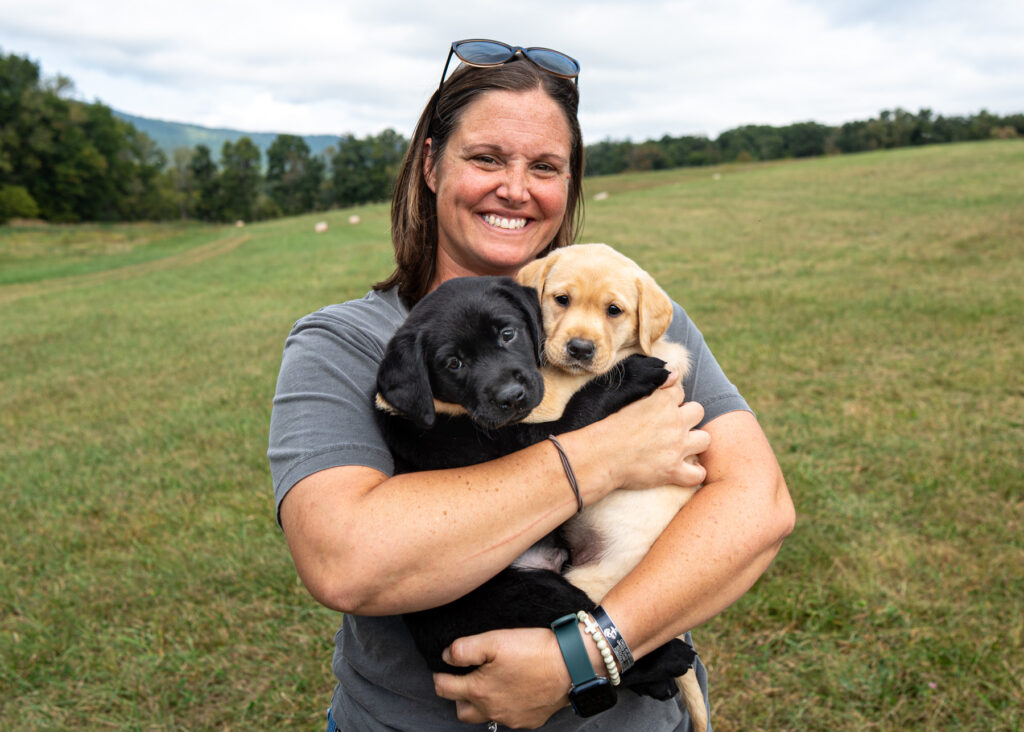 lab puppies, gun dog breeder, photography by mike hosier