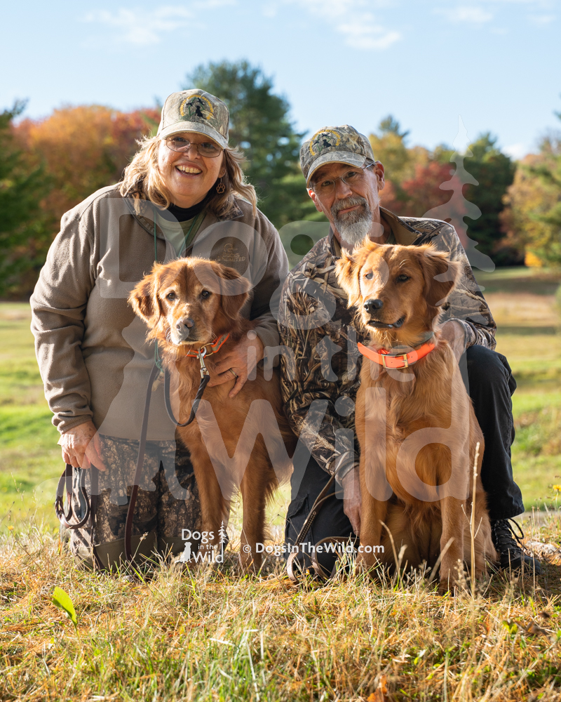 Maine Fall Golden Retriever Photo Portrait by Mike Hosier
