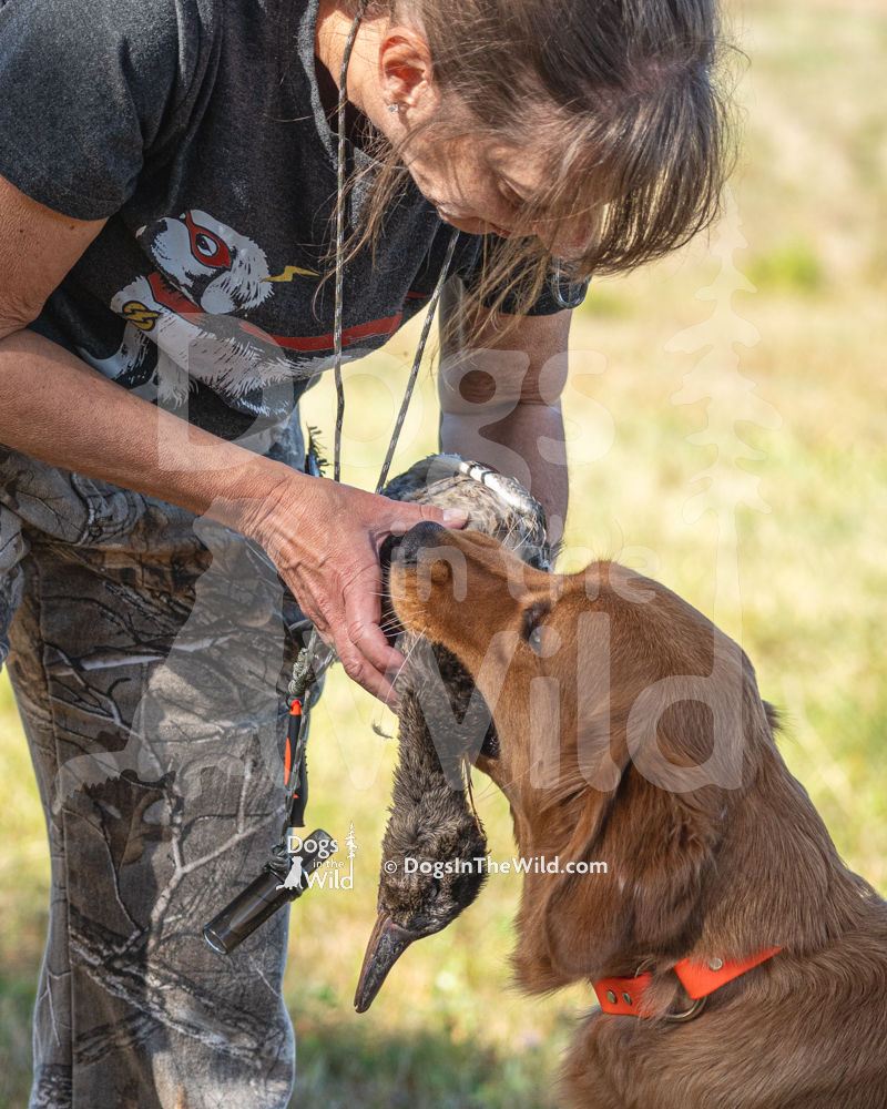 WC Test, GRCA, Royal River’s Find Your Calling at Davis Pond