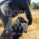 S16-SRC-1026-03