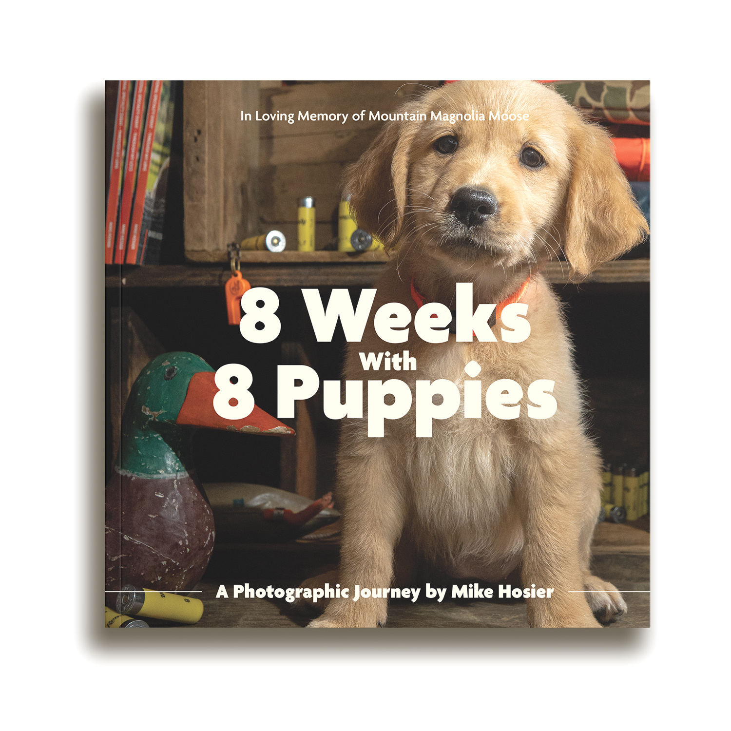 8 weeks with 8 puppies, a photographic journey by Mike Hosier