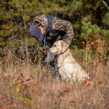 hunt test photography by mike hosier