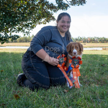 hunt test photography by mike hosier