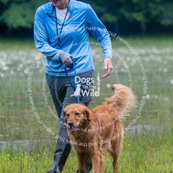 hunt test photography by mike hosier