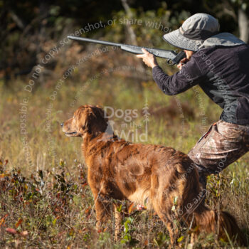 hunt test photography by mike hosier