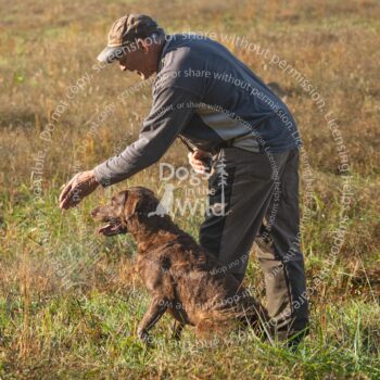 hunt test photography by mike hosier