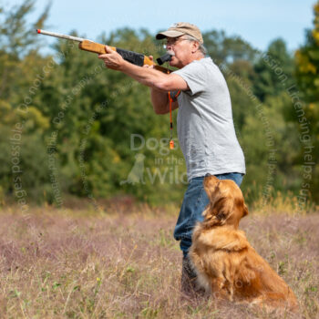 hunt test photography by mike hosier