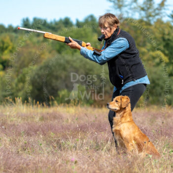 hunt test photography by mike hosier