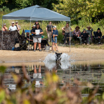 hunt test photography by Mike hosier