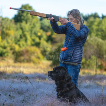 hunt test photography by Mike hosier