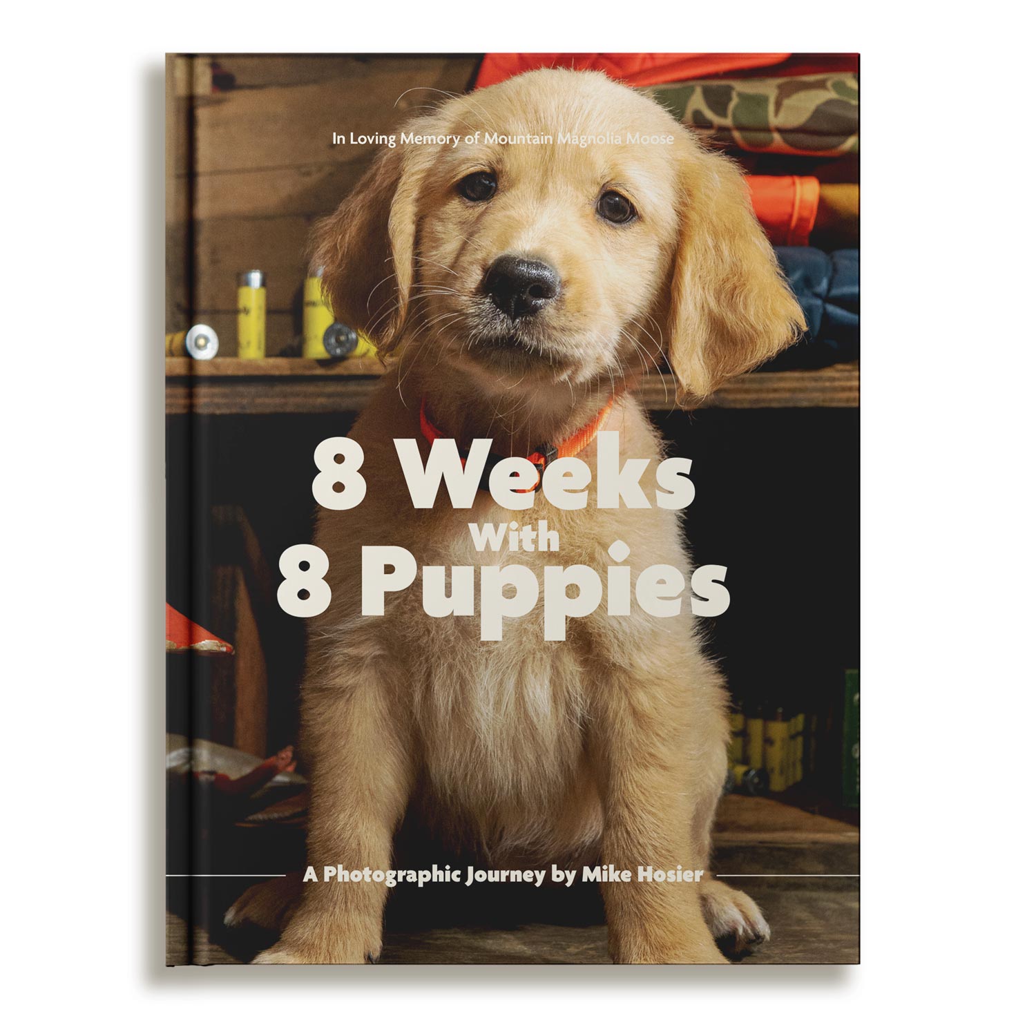 8 weeks with 8 puppies, a photographic journey by Mike Hosier