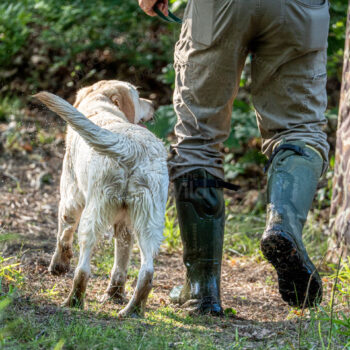 hunting yellow lab and handler bond by mike hosier